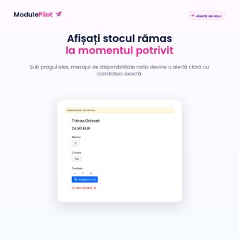 Afișați stocul rămas la momentul potrivit